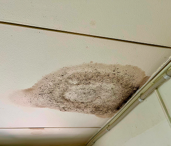 写真：天井が雨漏りして傷んでいるイメージ